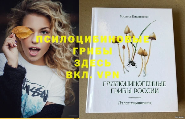дживик Сосновый Бор